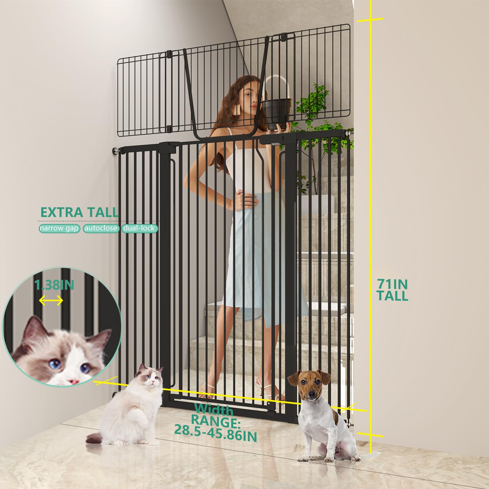 Jiprlak51 adjustable cat door wide enables flexible doorway access for pets.
