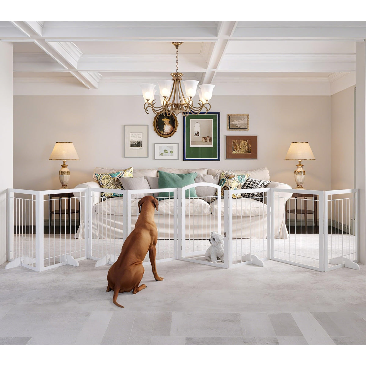 JSB 192in extra-wide dog gate during assembly in a wide hallway