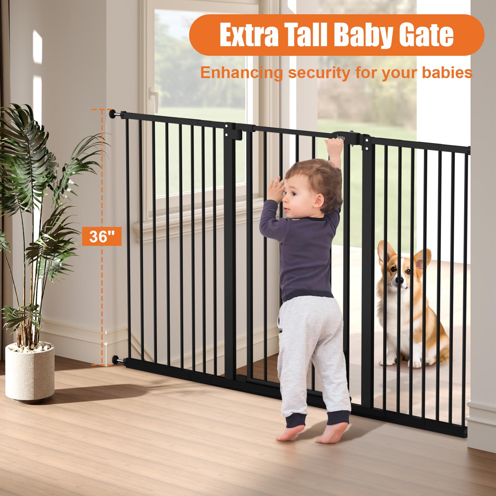 keny 55-inch-wide gate spans doorways, ideal for wide openings