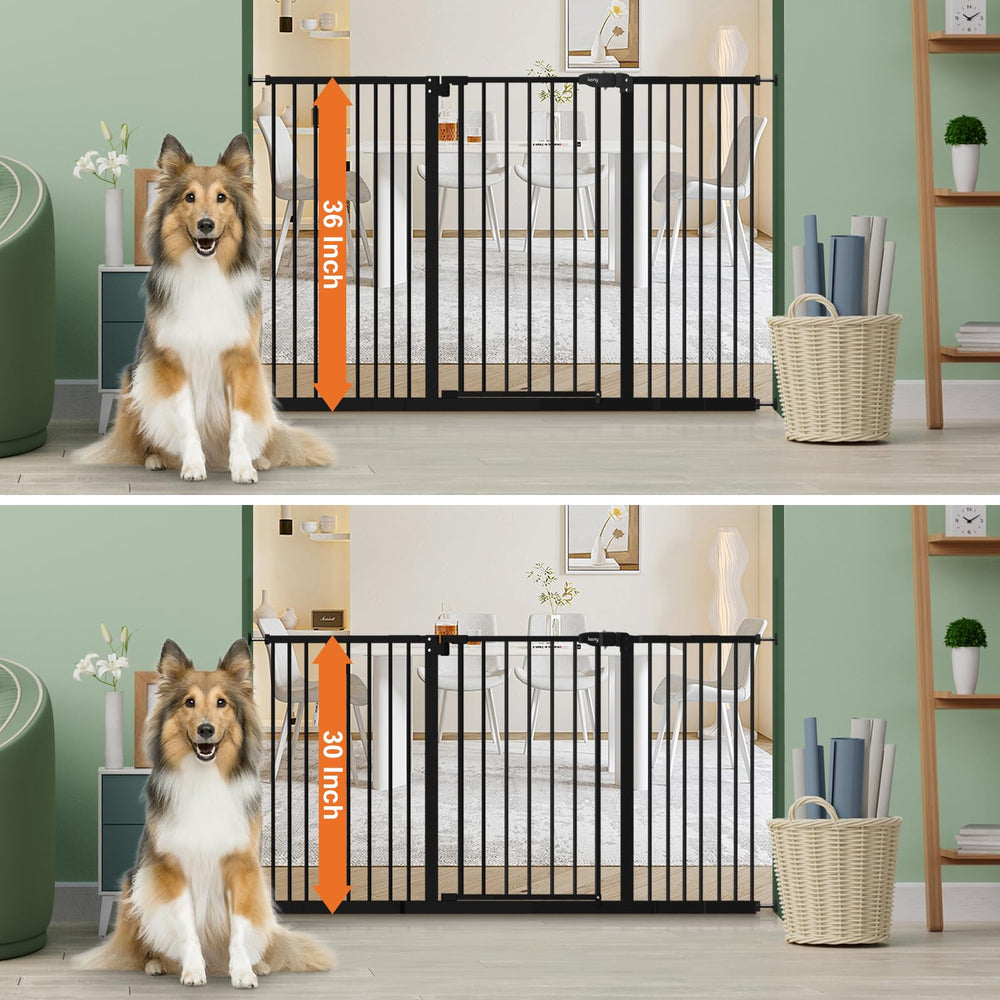 keny auto-close door-gate in use keeps dogs and kids safer