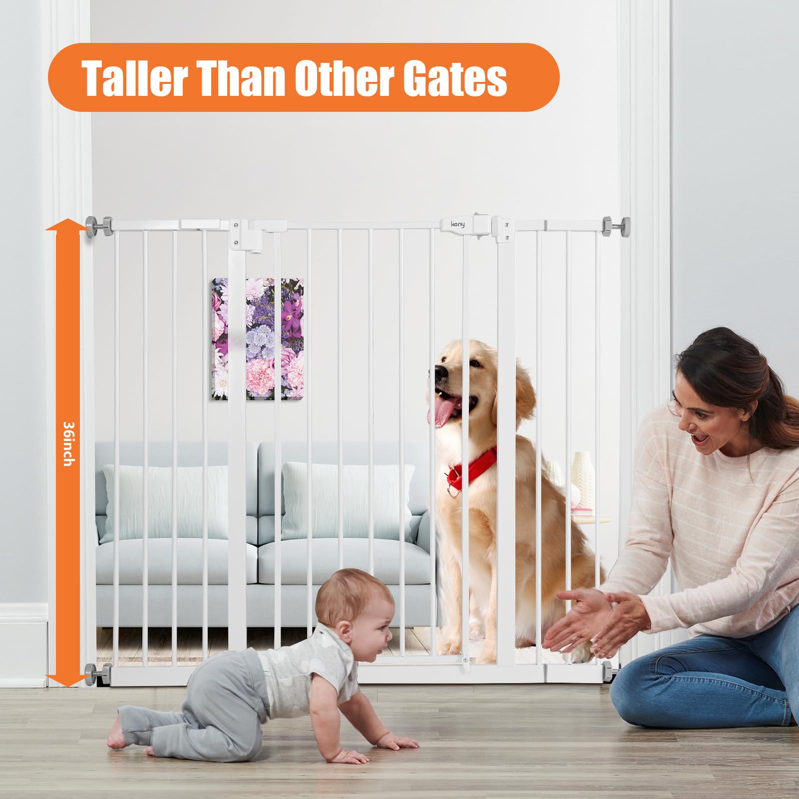 keny baby gate width range 29 to 42.5 inches, adjustable for doorways.