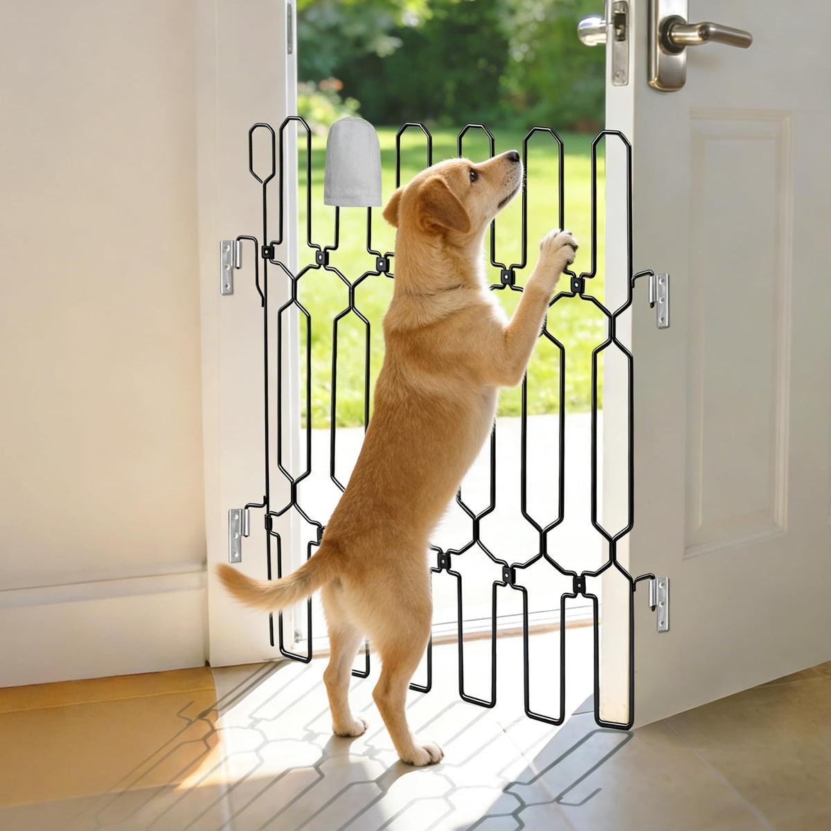 KEVLTROV metal retractable door barrier mounted on front door for secure pet containment.