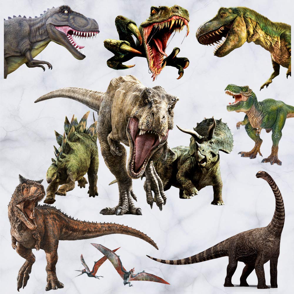 Kiddale dinosaur wall stickers sheet with 17 dinosaurs for quick room decor