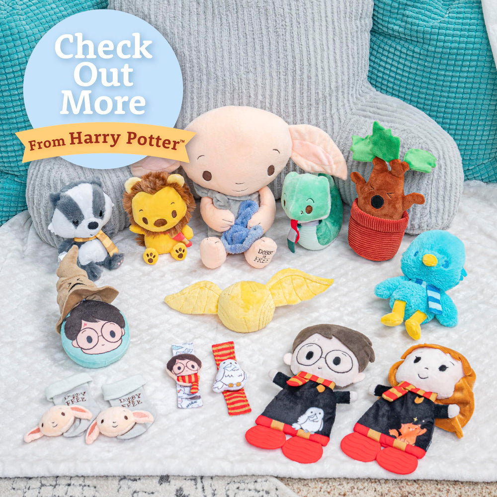 Kids Preferred packaging comes in a window gift box, great for gifting.