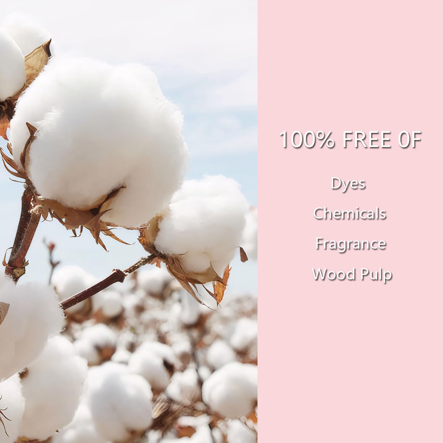 Kinzino chlorine-free materials reflect safety-conscious design for everyday use