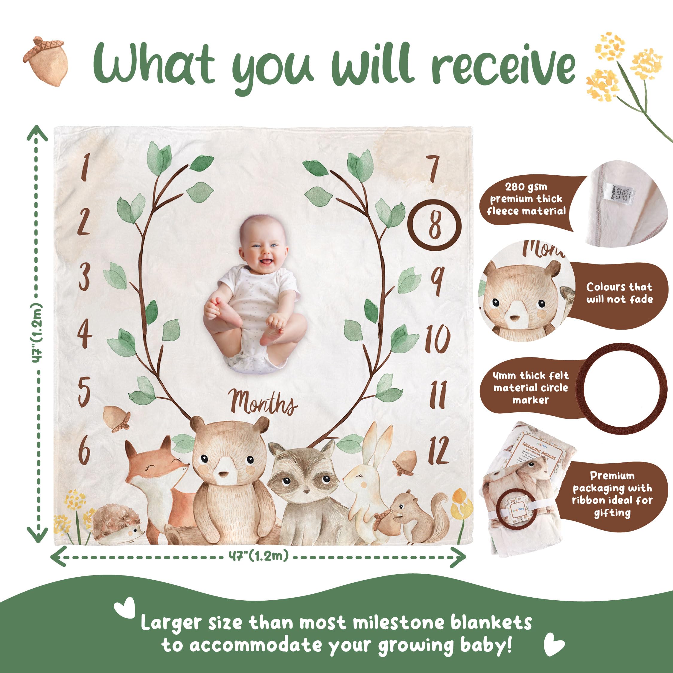 KooKooBaby woodland illustrations brighten milestone photography sessions.