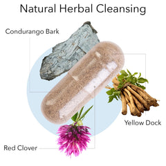 Kroeger Candida Formula 1 capsules close-up for convenient daily gut balance