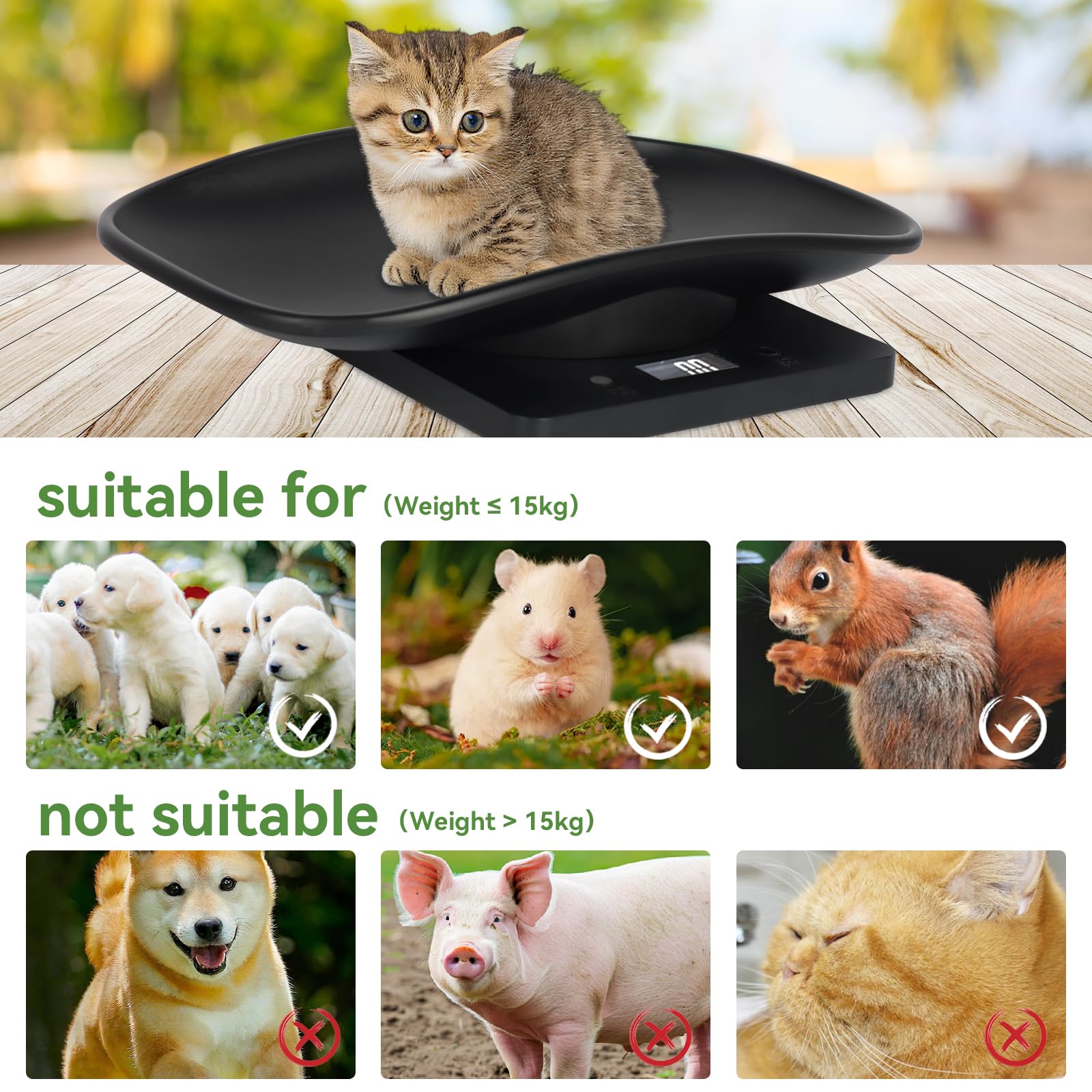 Kytree adjustable ID collar helps identify each pet during weigh-ins