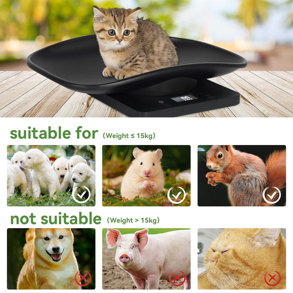 Kytree adjustable ID collar helps identify each pet during weigh-ins