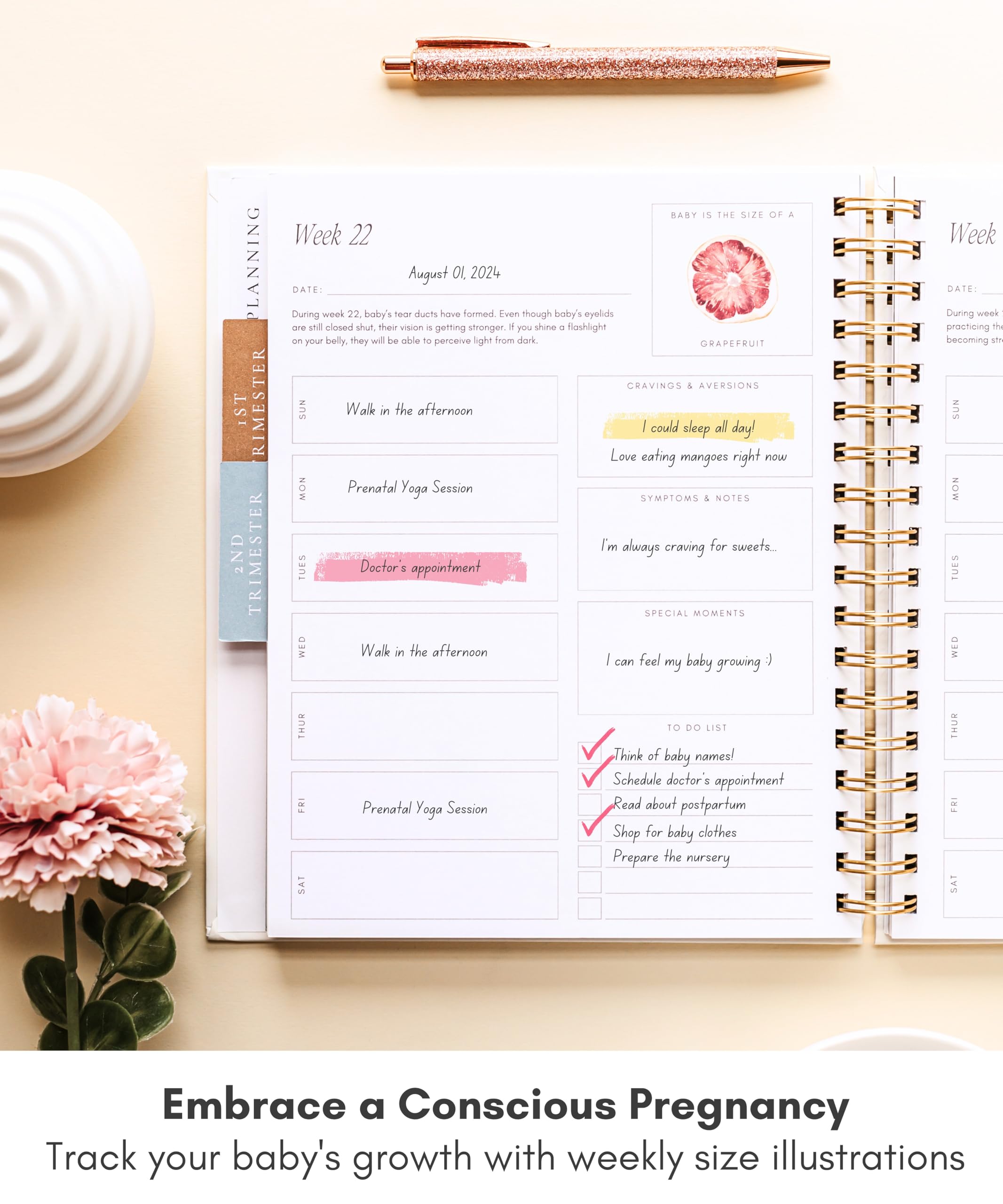 Lamare Pregnancy Journal weekly checklists page for organization