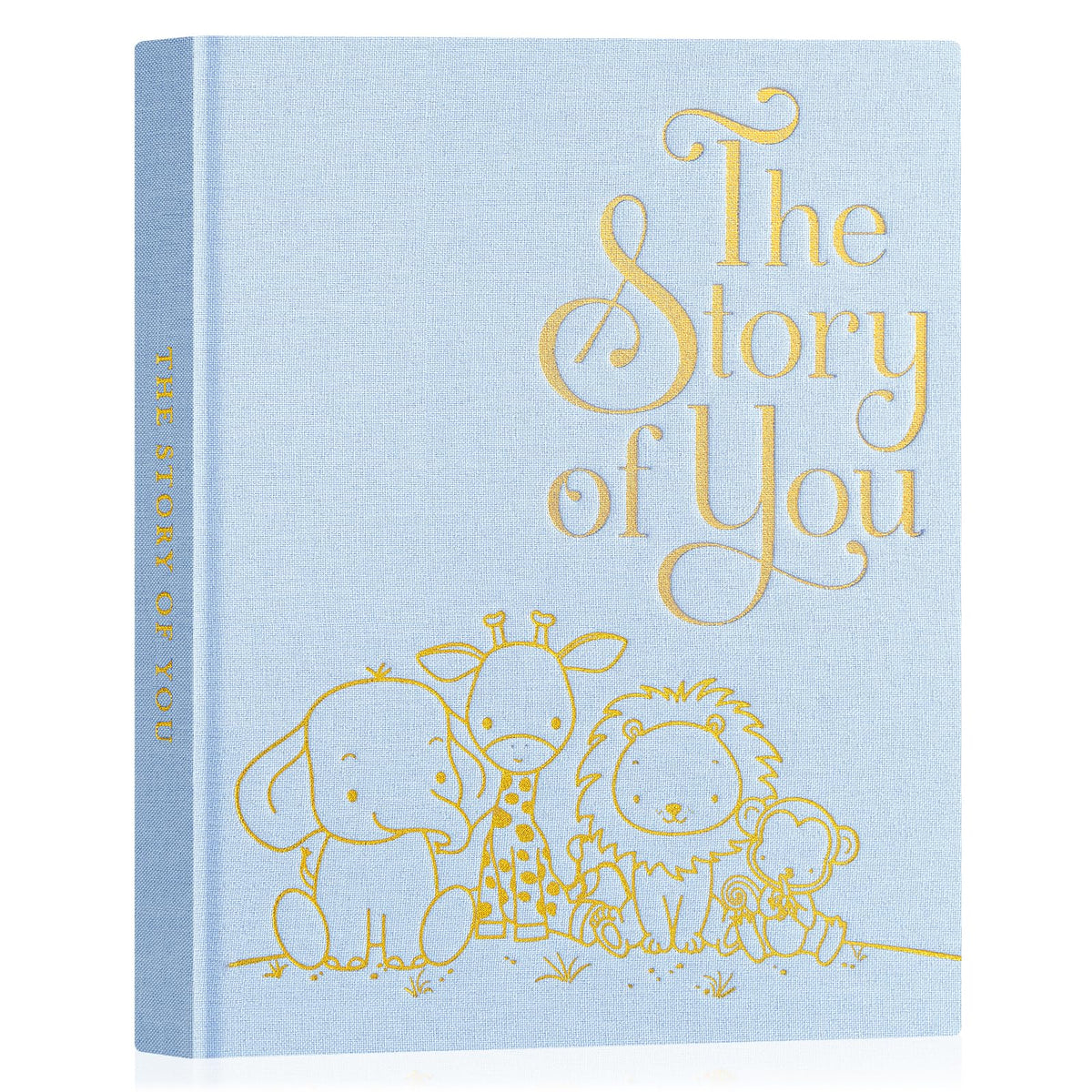 Lanpn baby memory book with blue cover, a stylish keepsake for newborn memories.