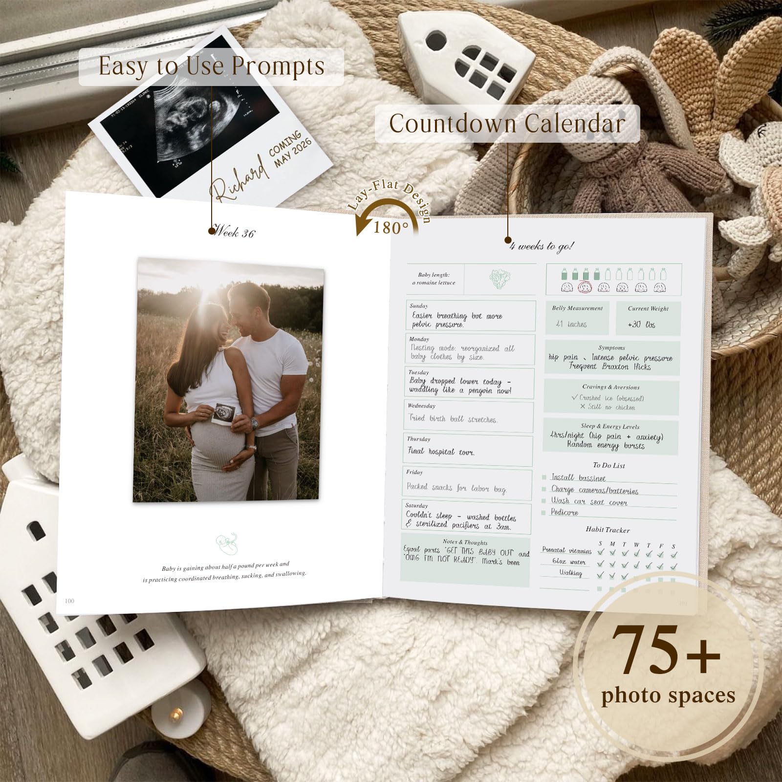 Lanpn pregnancy journal photo-space area for ultrasound photos and keepsakes.