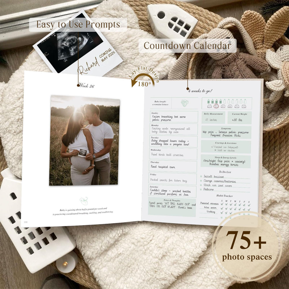 Lanpn pregnancy journal photo-space area for ultrasound photos and keepsakes.