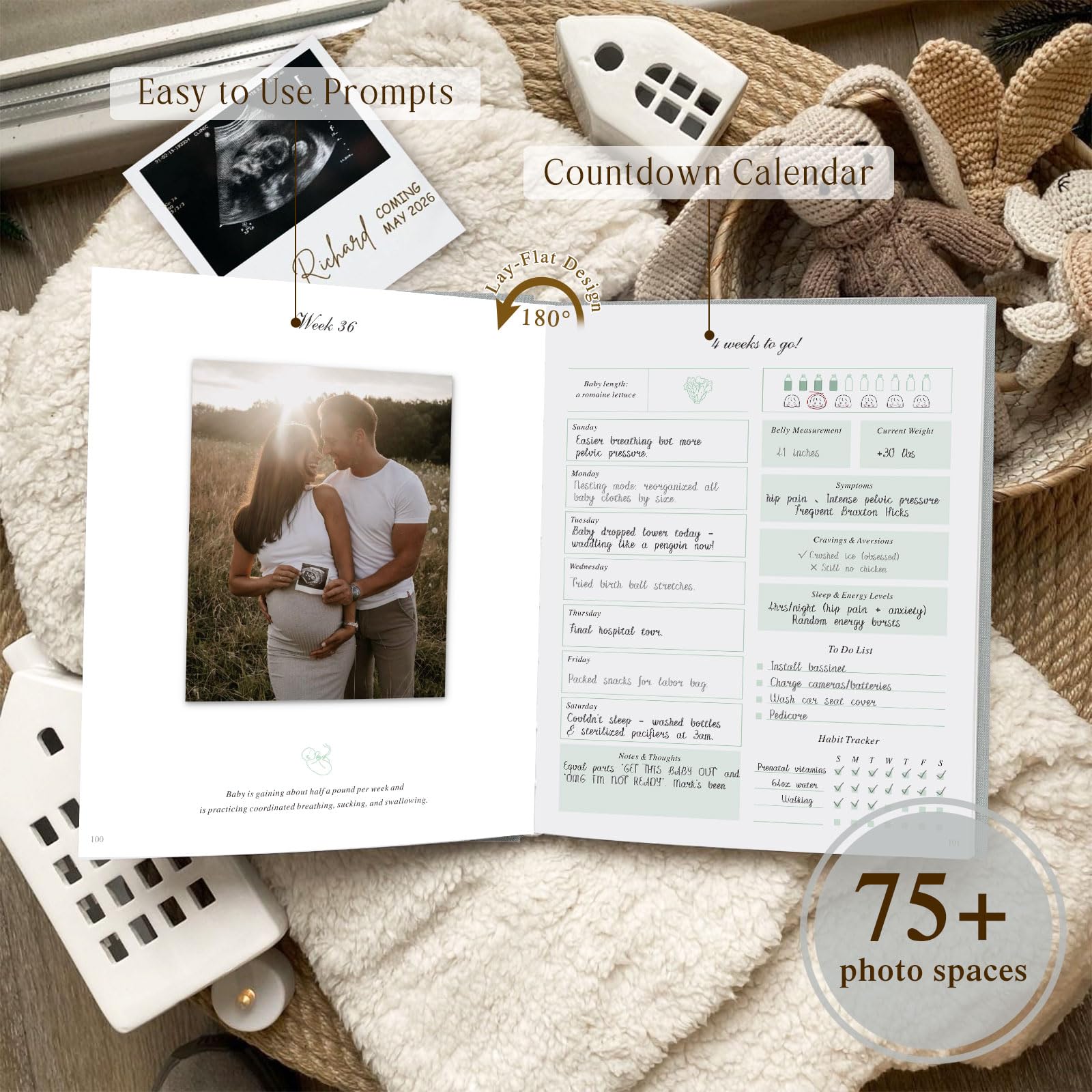 Lanpn prenatal forms and checklists keep appointments and planning organized.
