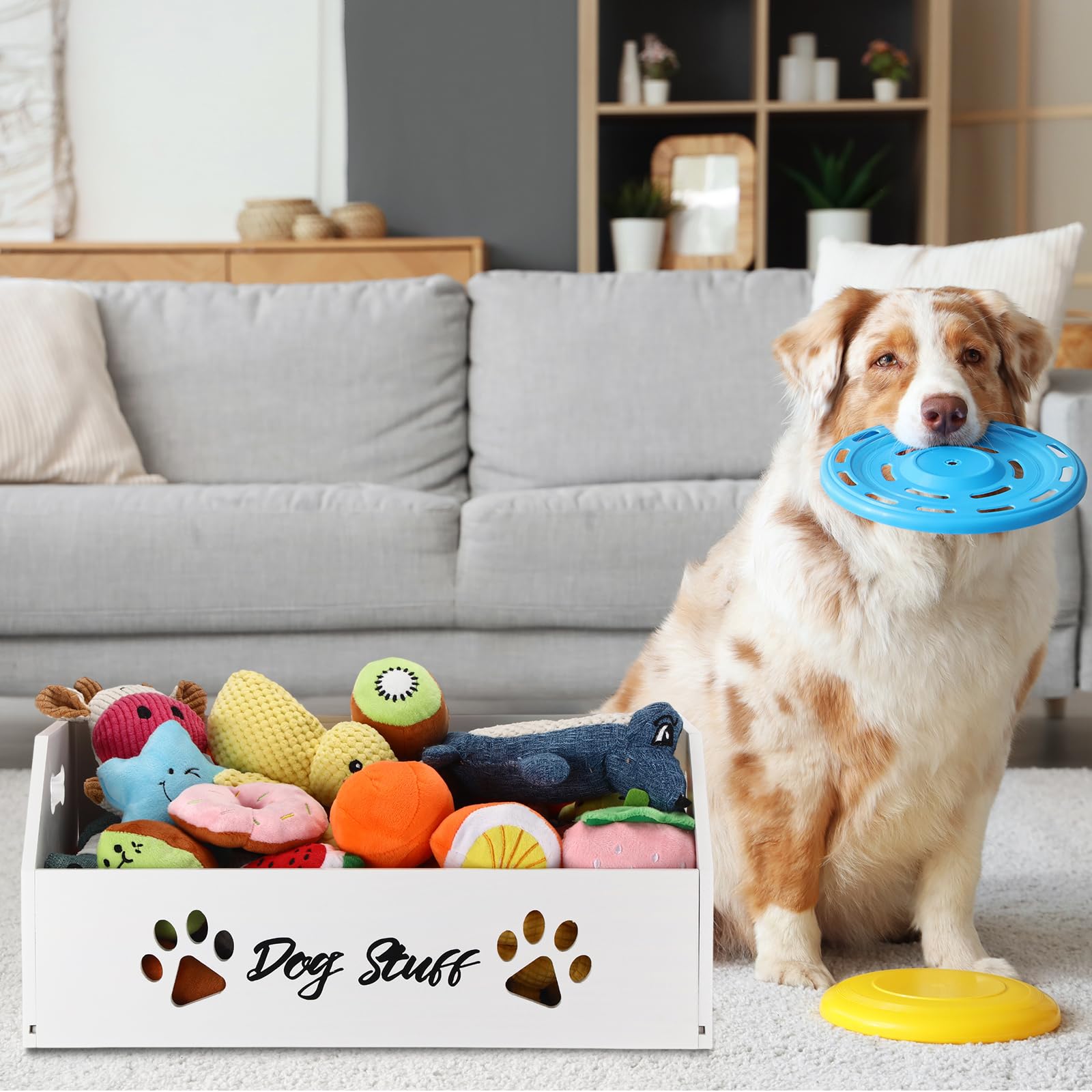 Leinuosen large dog toy bin spacious interior for organization