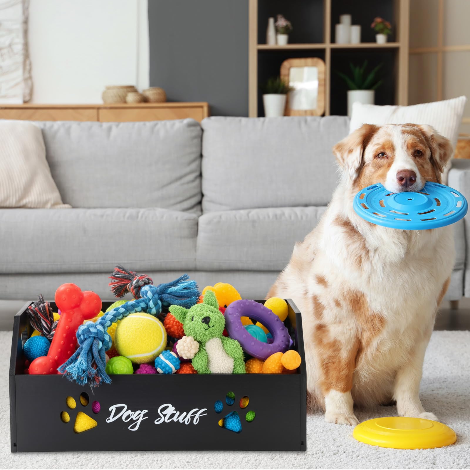Leinuosen versatile storage box for toys, leashes, snacks and more