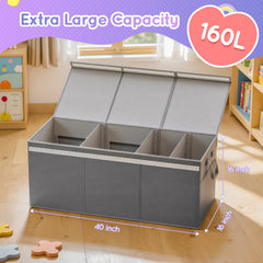 Lewondr chest with removable dividers for flexible toy zones.