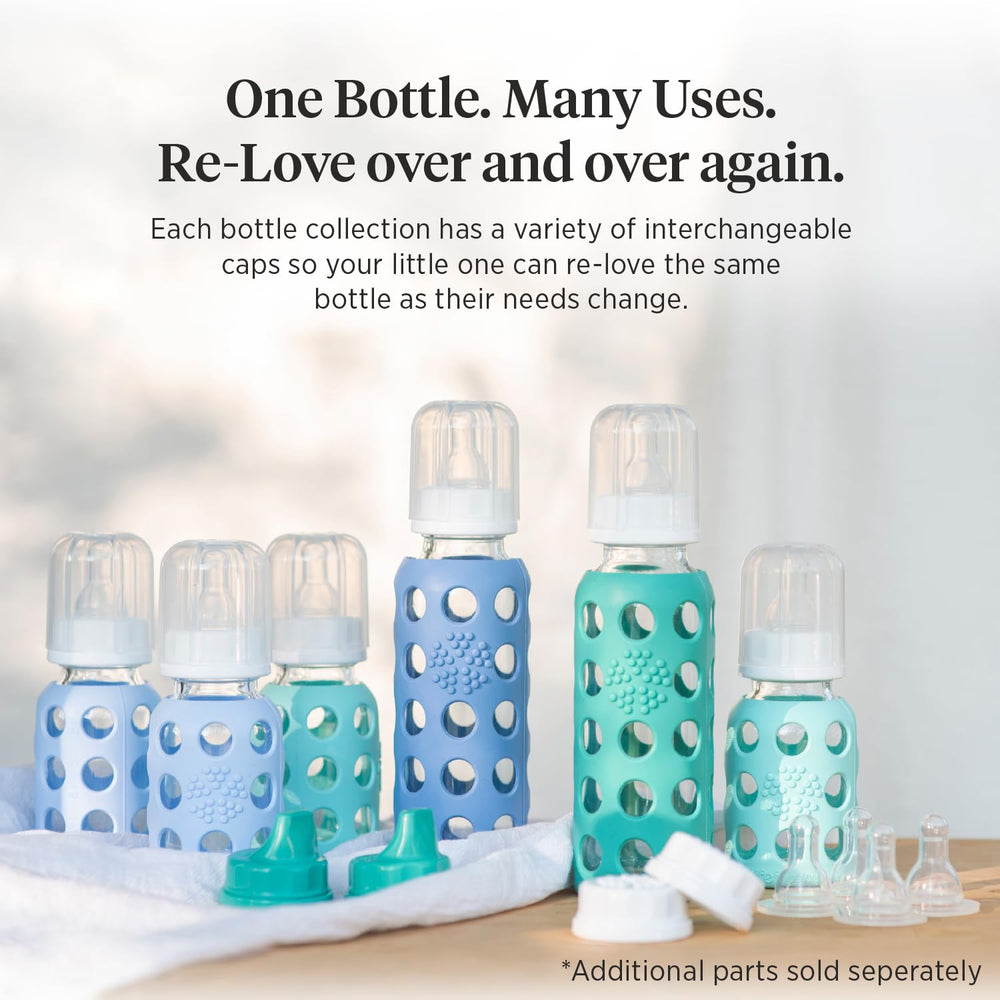 Lifefactory blueberry bottle on top rack in dishwasher for cleaning