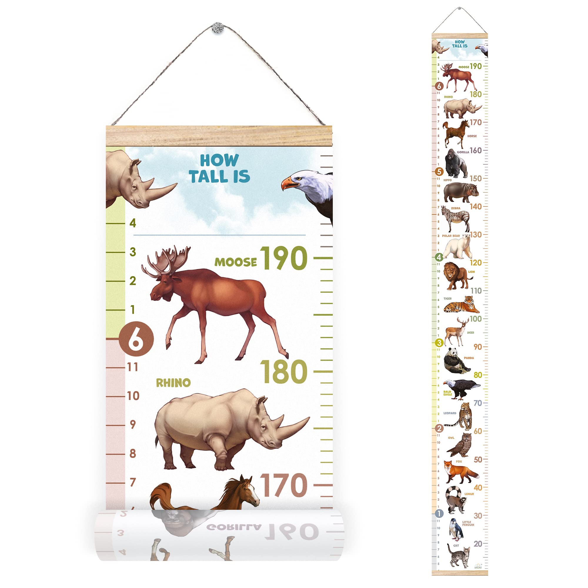 LIFELIKO growth chart on the wall for animal lovers, a lasting keepsake.