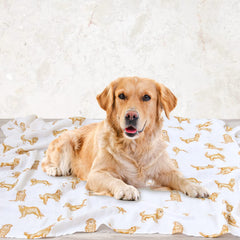 LifeTree muslin swaddle laid flat to show 47-inch square size.