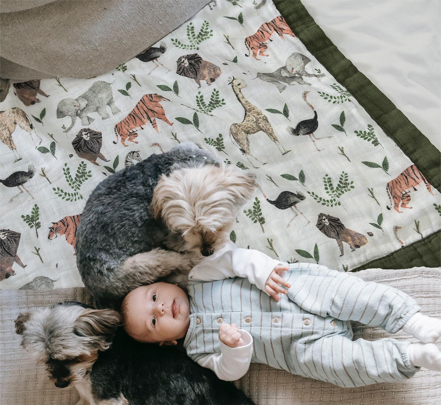Little Jump jungle-print blanket is lightweight yet warm for cooler evenings.