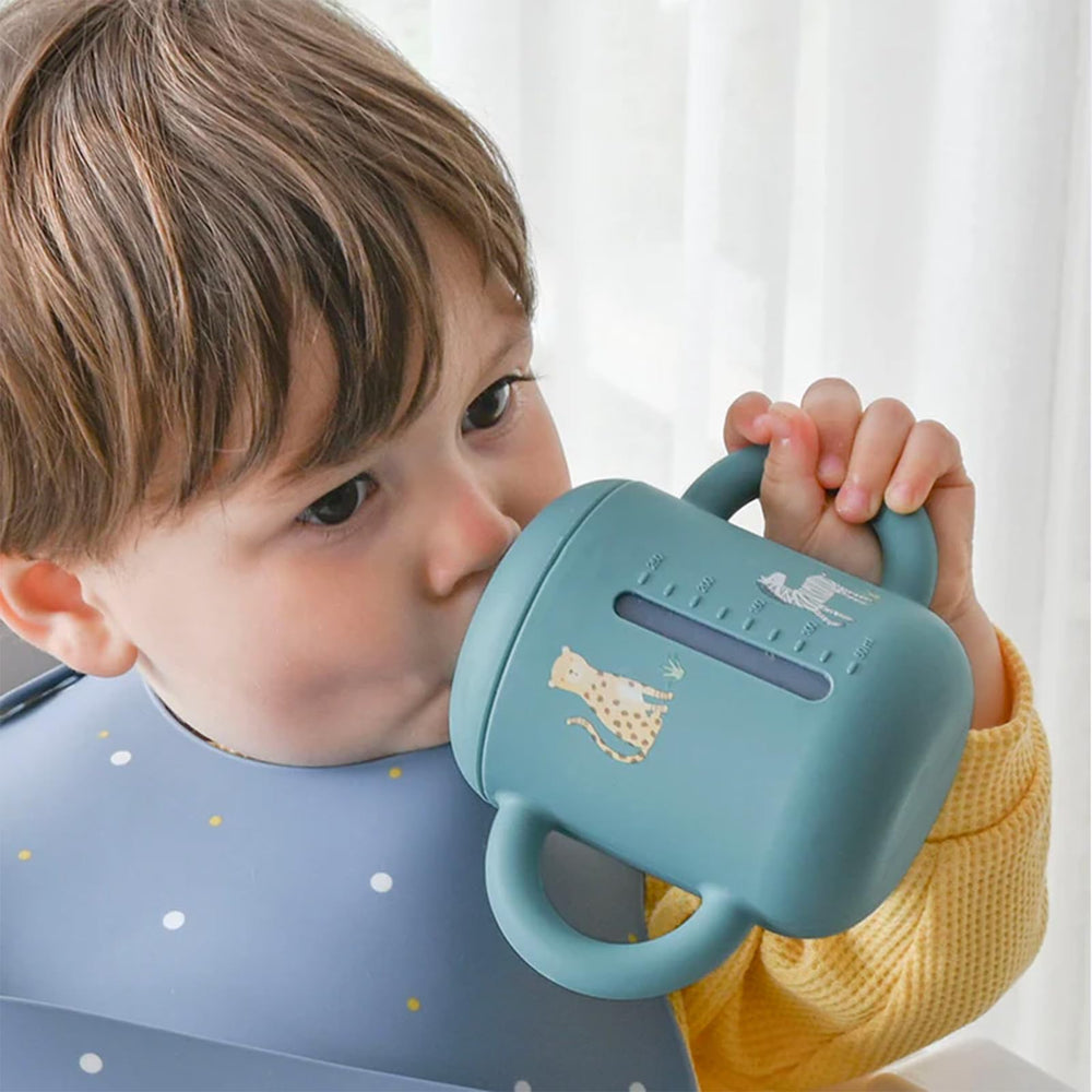 Little Rawr sippy cup transparent window to monitor contents