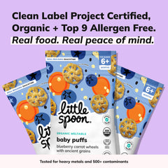Little Spoon meltable wheels show blueberries and carrots for baby-friendly flavor exploration.