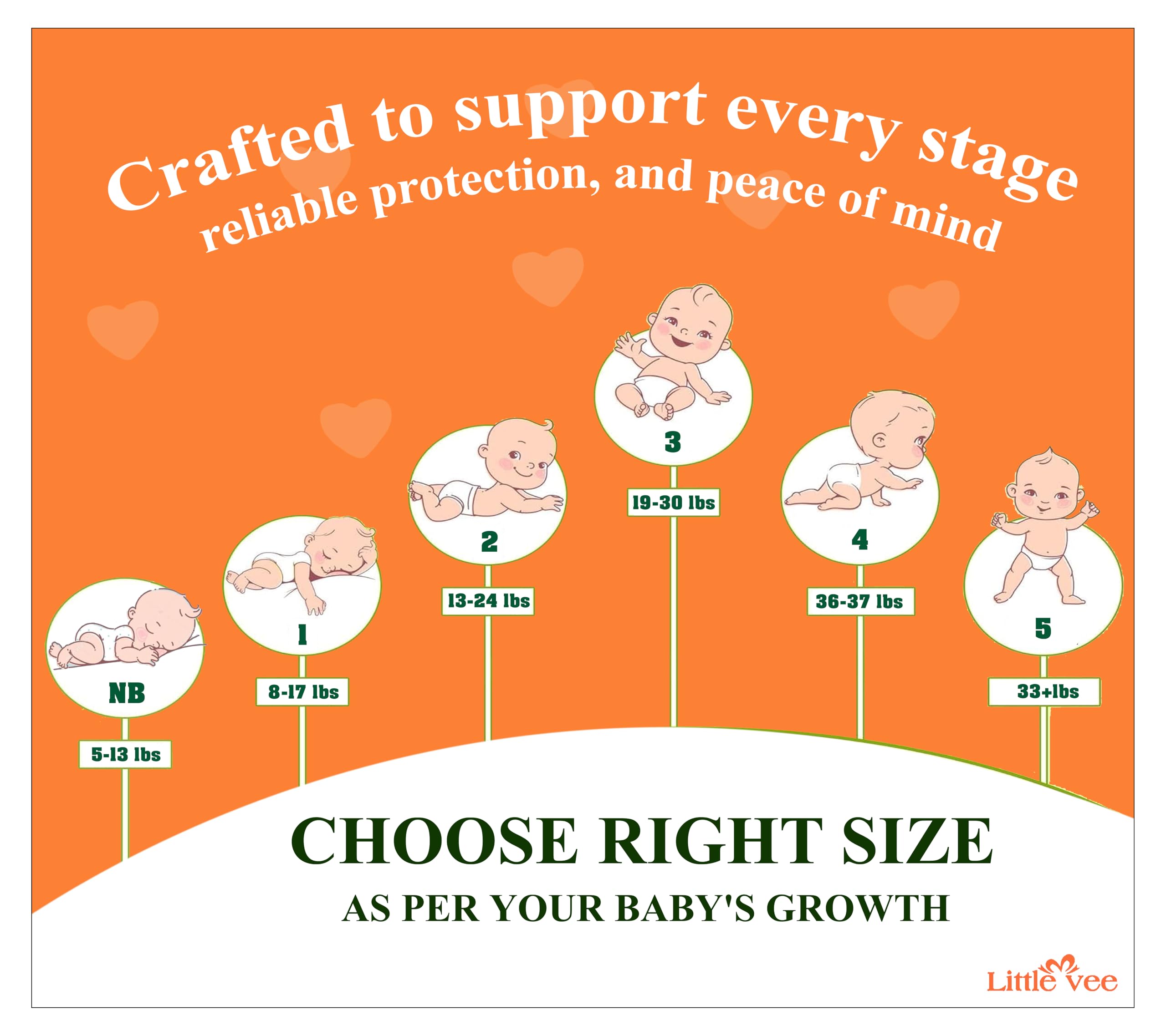 Little Vee Sizes cover newborn to toddler growth.