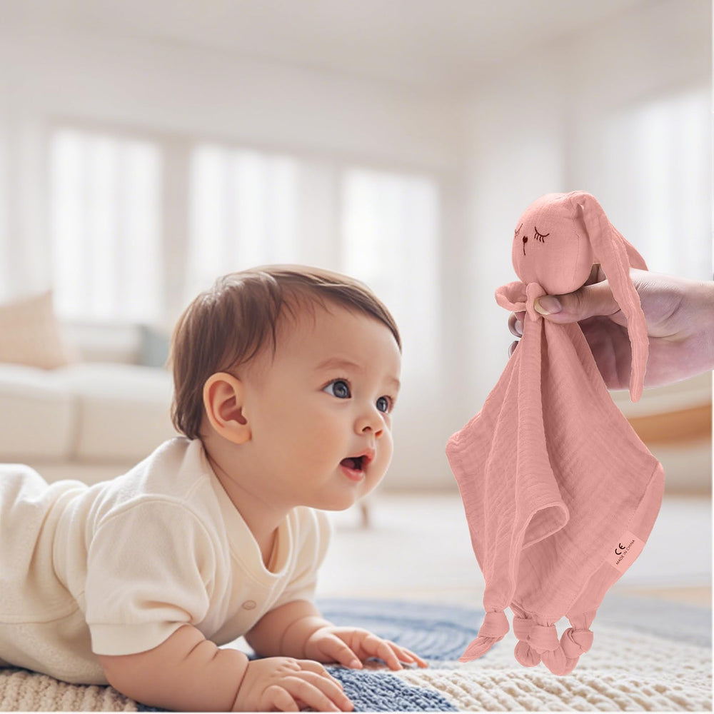 Little Rawr Bunny Lovey packaged as a thoughtful baby gift option.