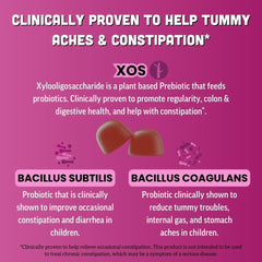Llama Naturals kids probiotic gummies mixed berry highlight real fruit flavor