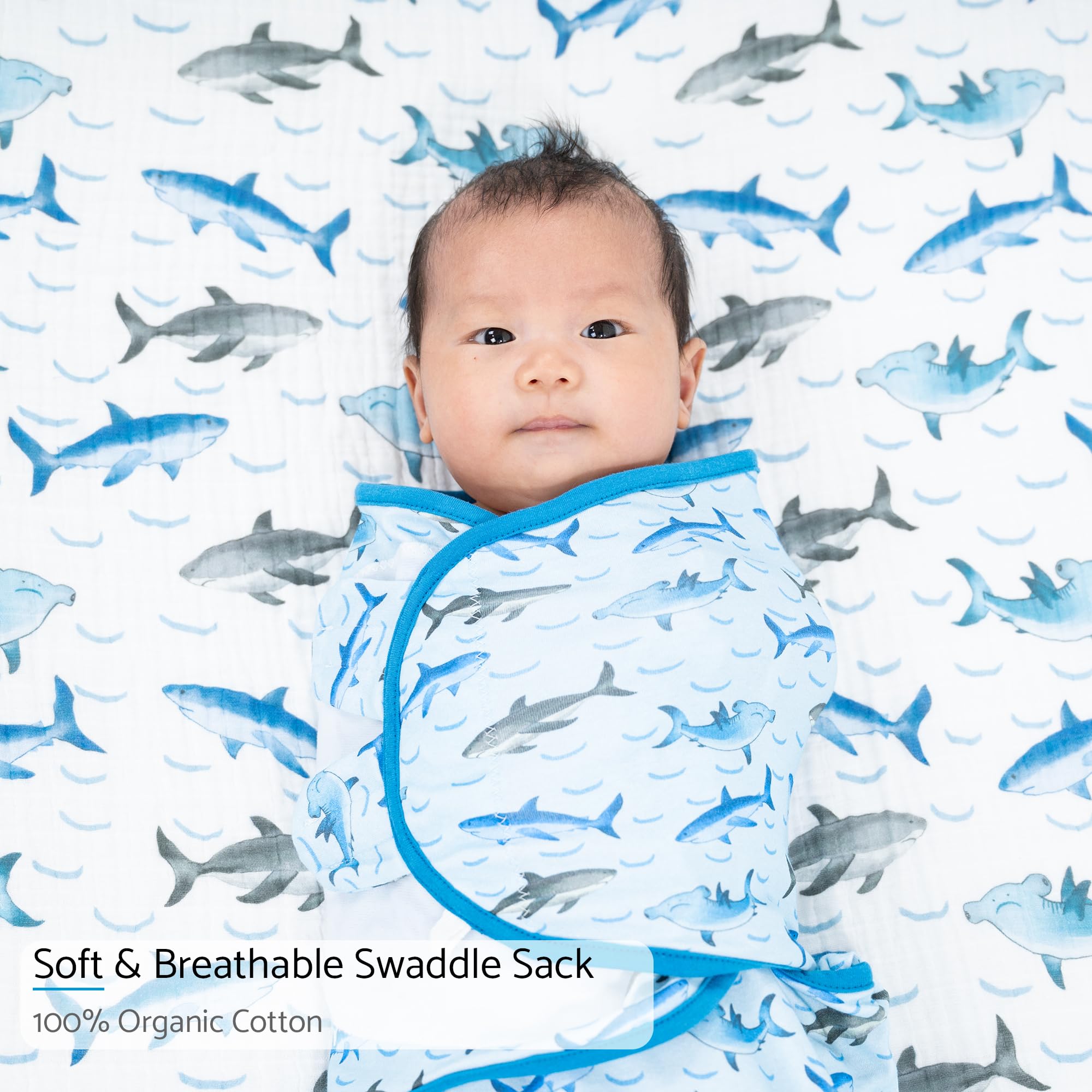 LollyBanks swaddle wings adjustable for snug fit