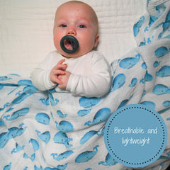 LollyBanks three-pack swaddles ideal for burps and nursing on the go.