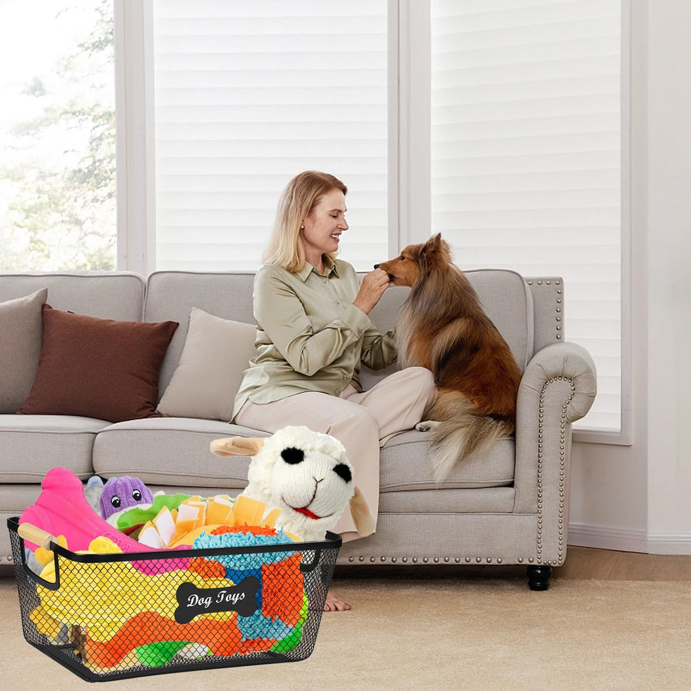 Lolytama dog toy box with a modern living room design blends with decor.
