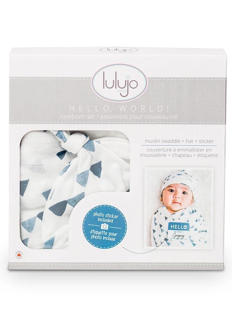 Lulujo Hello World stroller cover protecting baby on walks