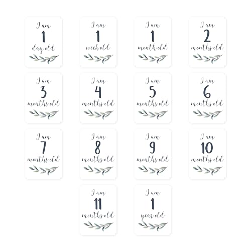 Lulujo milestone card 1 month marks tiny changes in growth photos