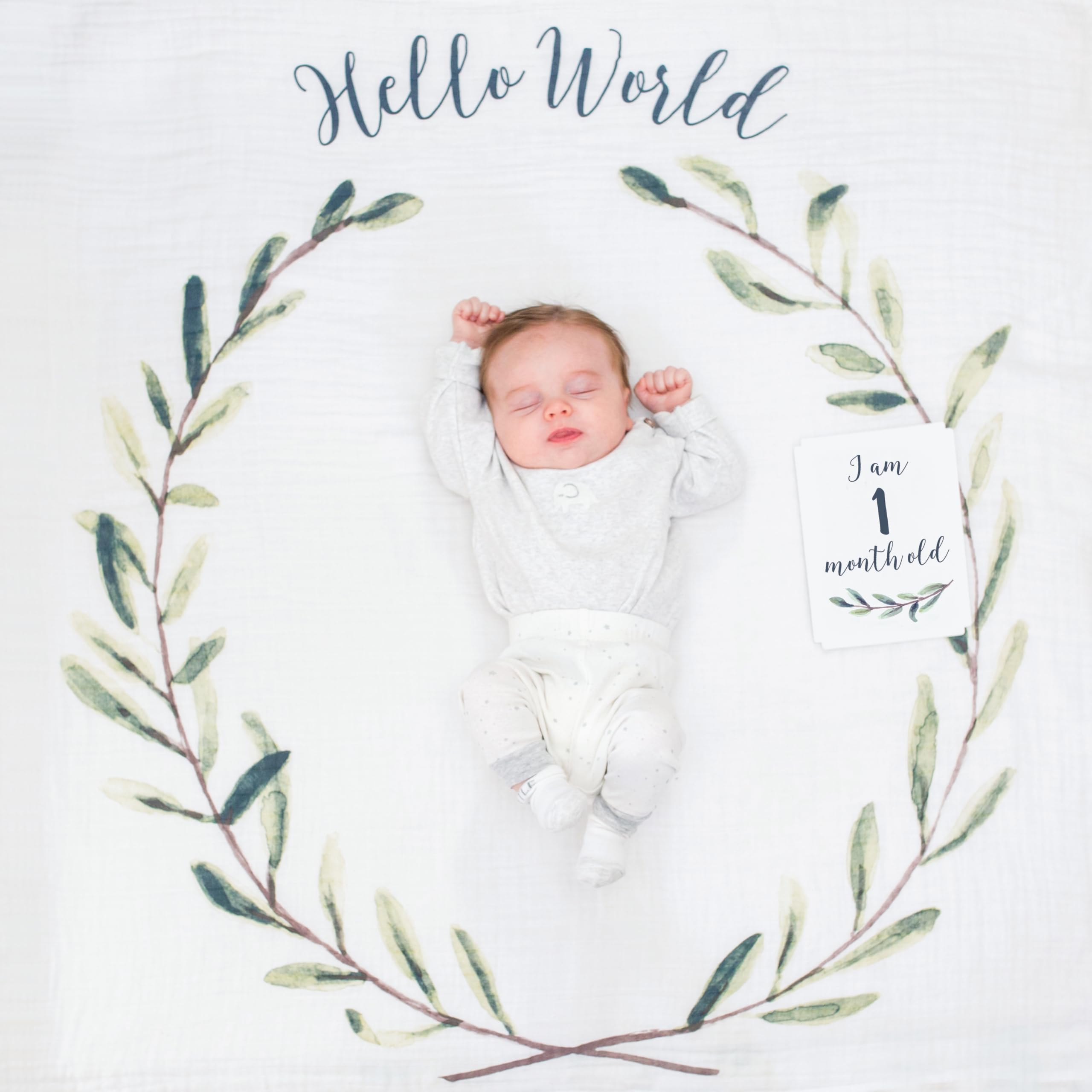 Lulujo milestone card 6 months signals growing milestones in photos