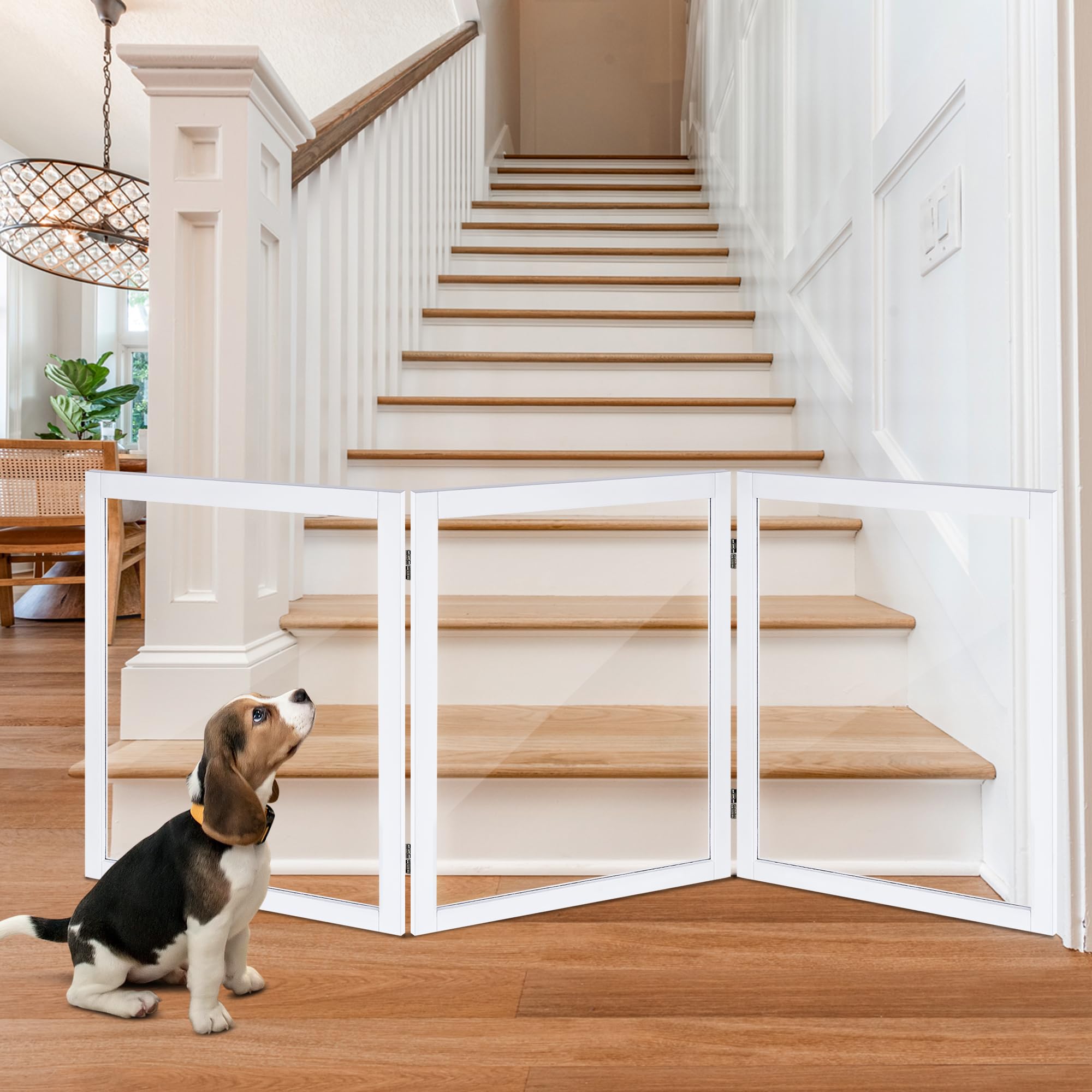 LZRS Clear Dog Gate in doorway shows stylish visibility and pet containment.