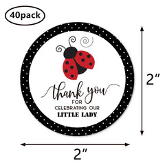 MAGJUCHE round 2 inch ladybug stickers with matte finish for easy labeling.