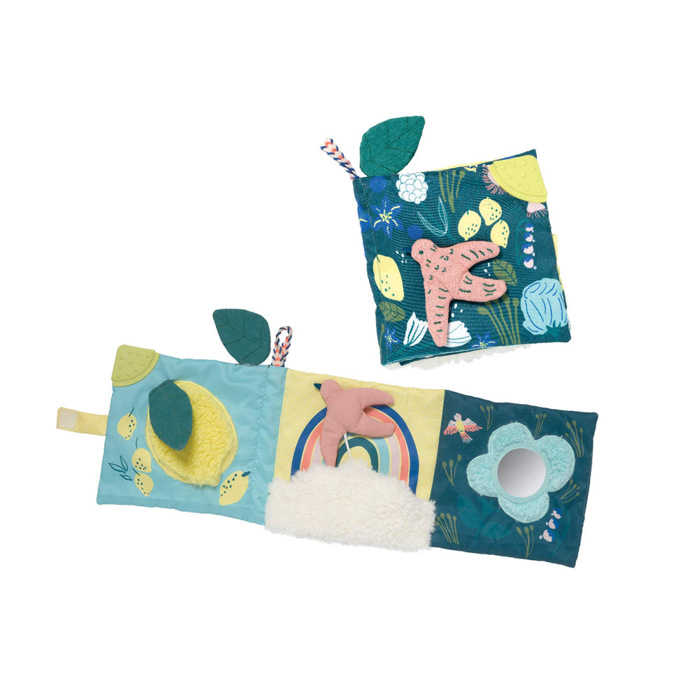 Central squeaker engages auditory discovery during playful sessions