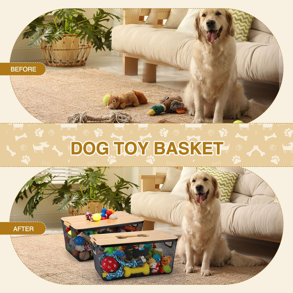 Maxdot blanket and leash storage bin helps tidy pet gear.