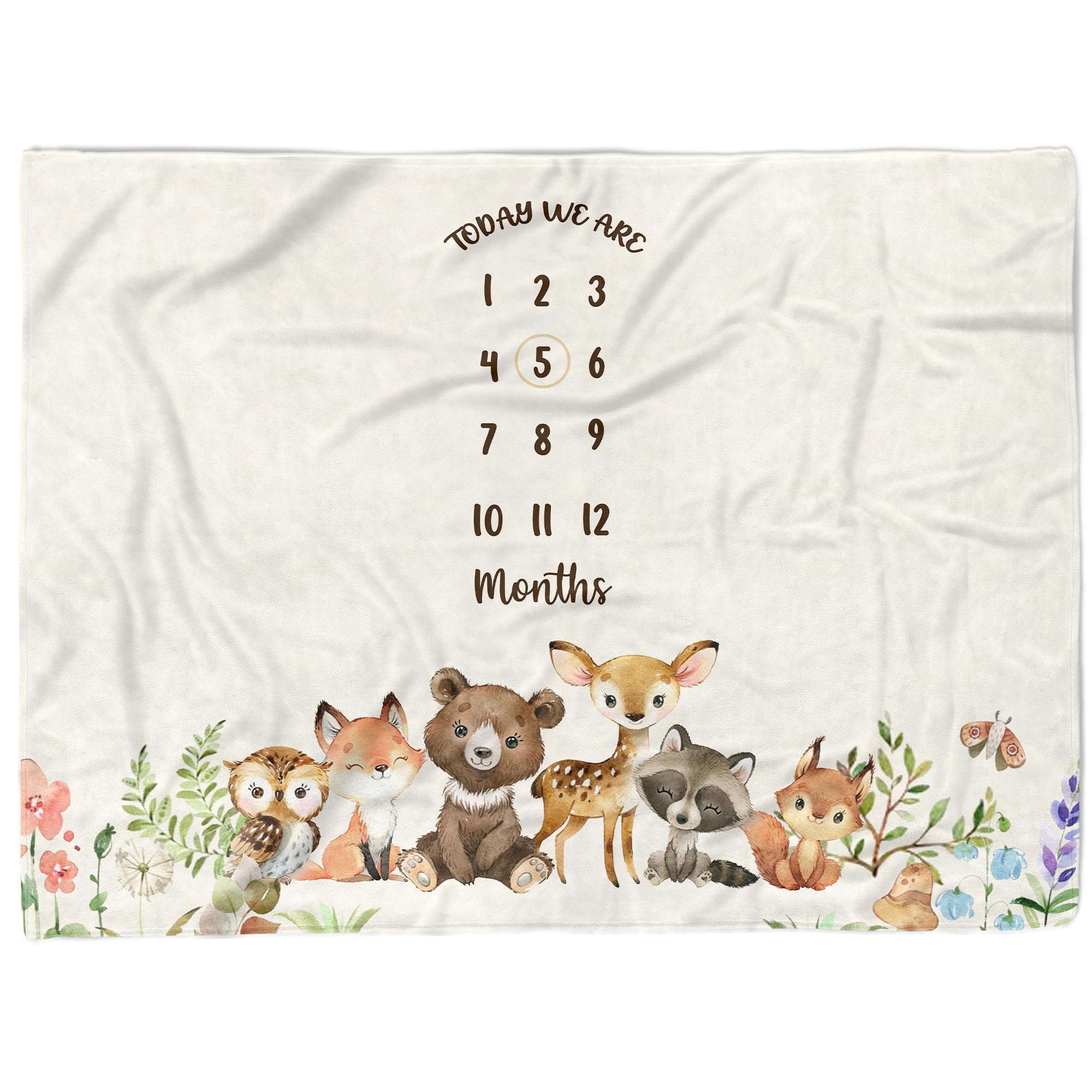 MDPrints Global twin milestone blanket spread for cozy two-baby photos and growth moments.