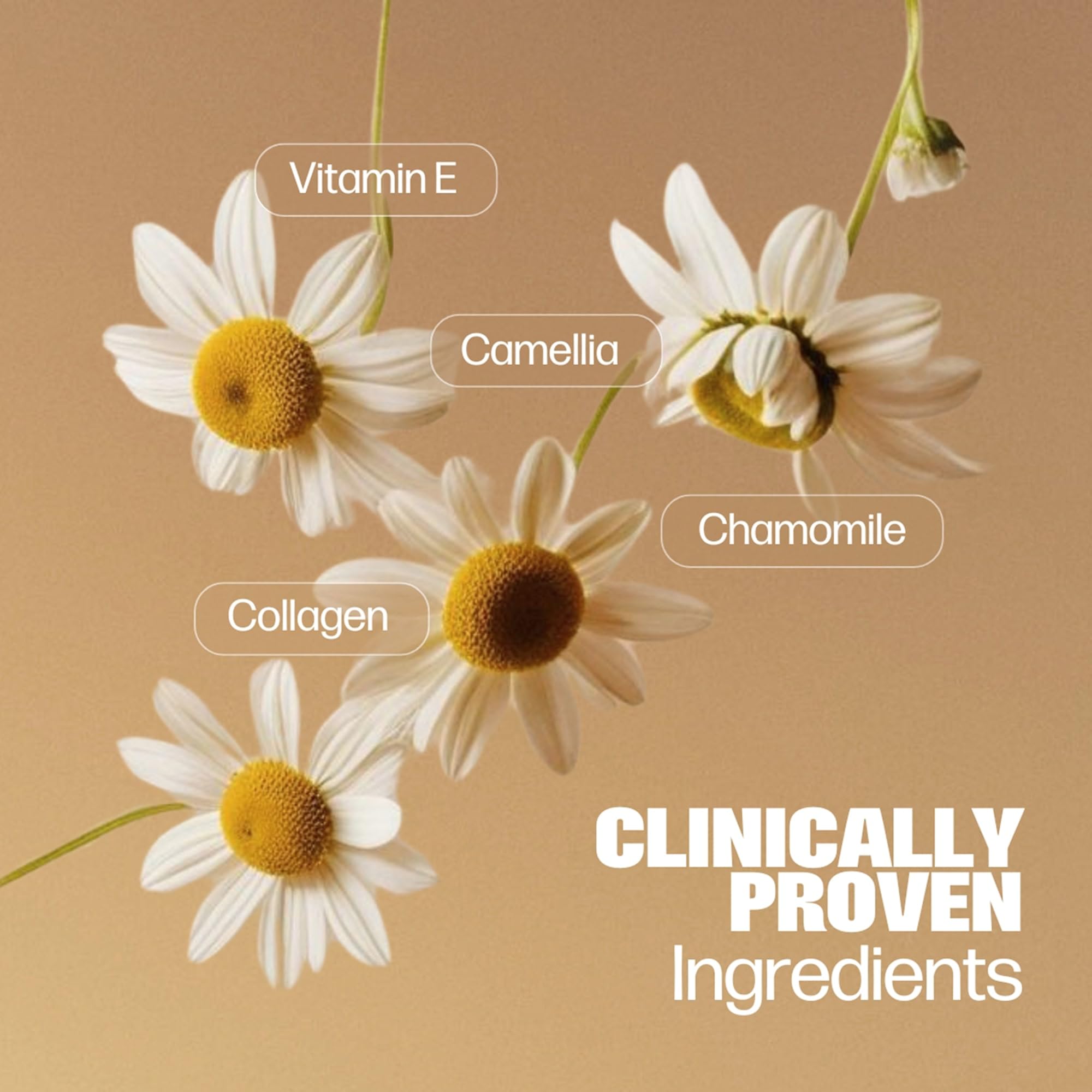 Chamomile and collagen ingredients in Medicine Mama's Vmagic