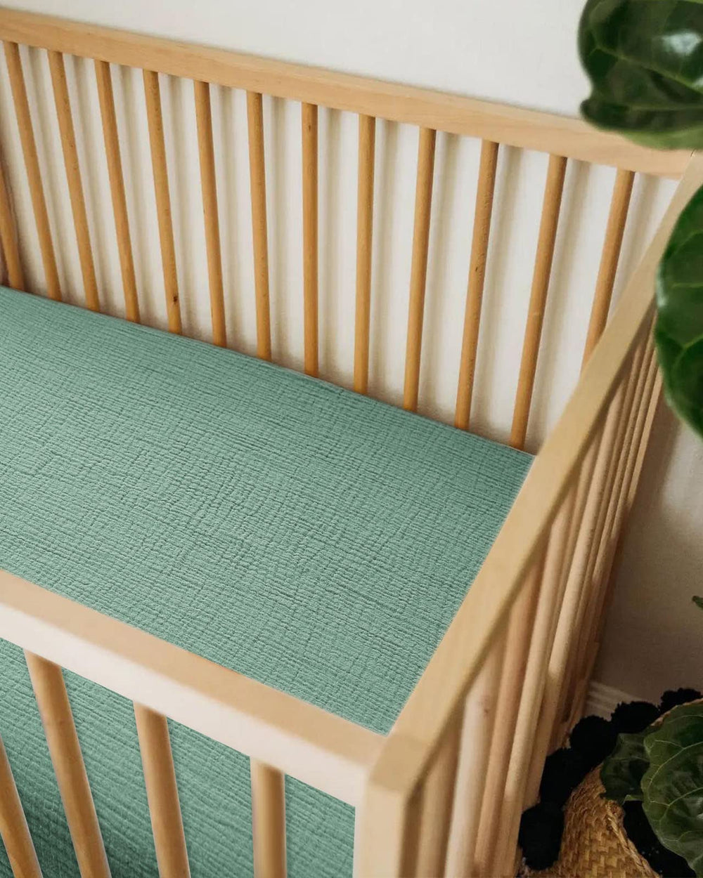 Meowcards roman green color option adds versatile nursery style