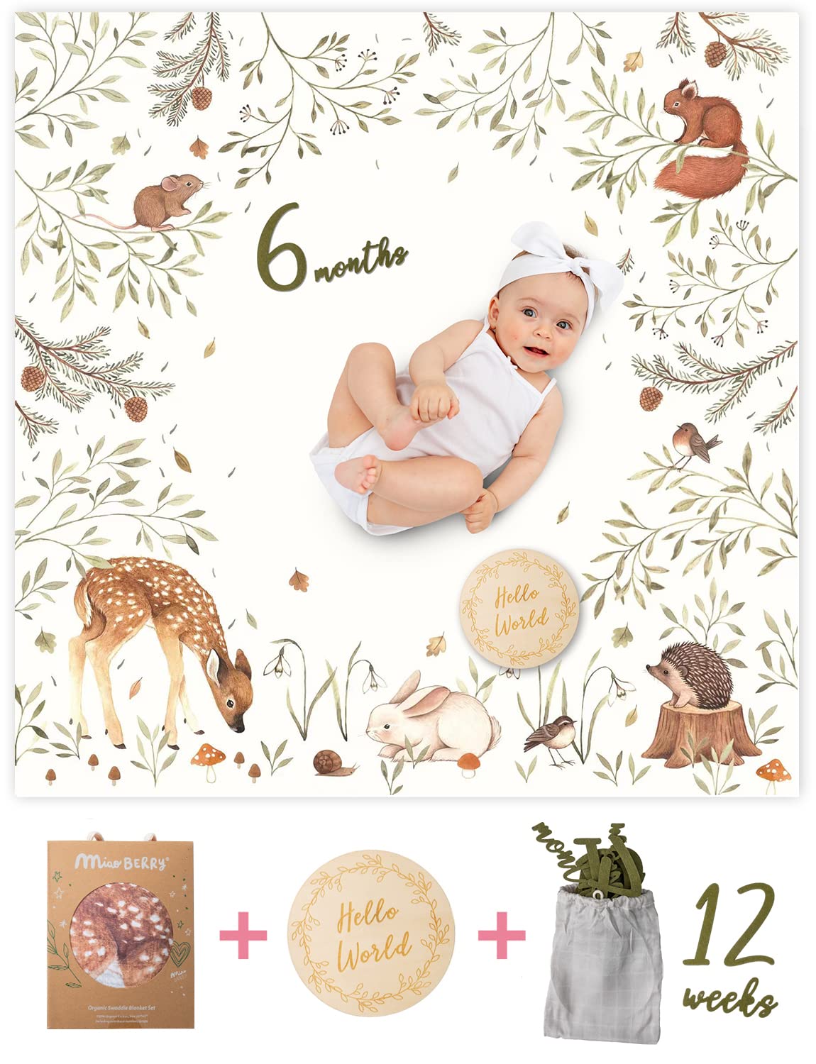 Miaoberry Hello World sign for birth announcements and newborn shoots.