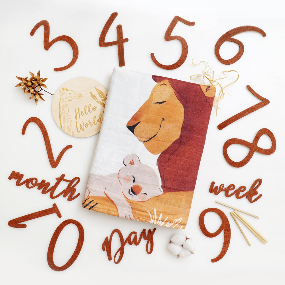 Miaoberry Safari Milestone Blanket with Hello World sign for newborn photos.