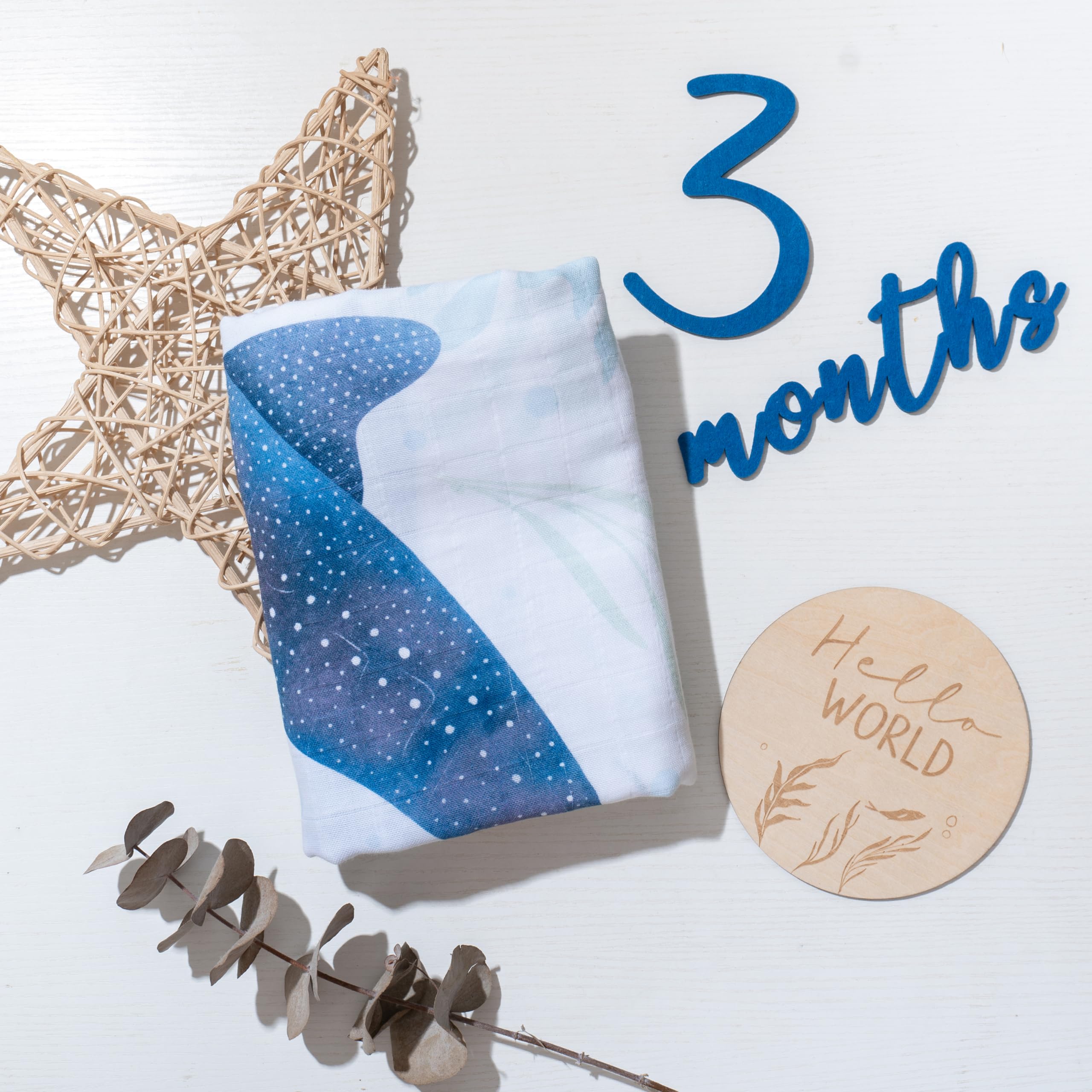 Miaoberry shark illustration adds bold coastal accents to milestones
