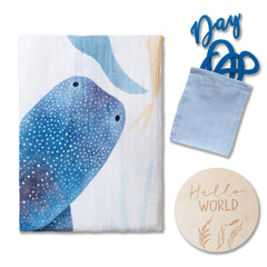 Miaoberry whale illustration brings soothing ocean vibes to shoots