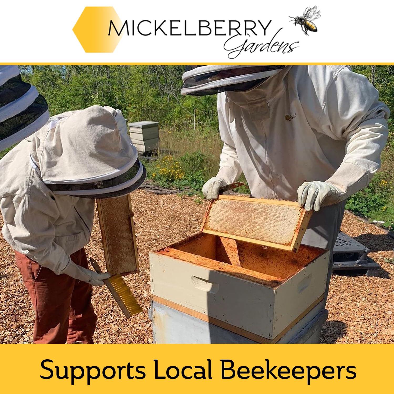 Mickelberry Gardens B-Corp ethics and sustainable sourcing.