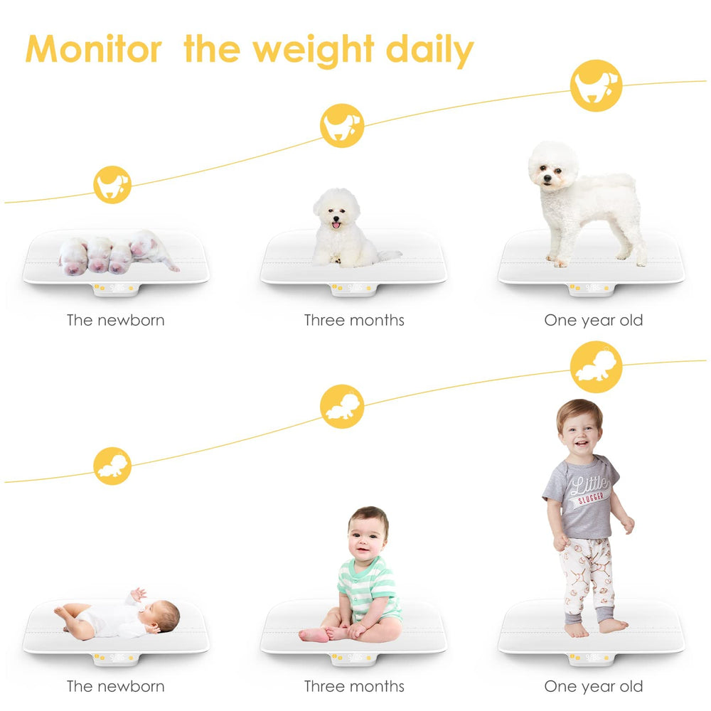 Anti-slip feet provide stable weighing on any surface for the MINDPET-MED scale
