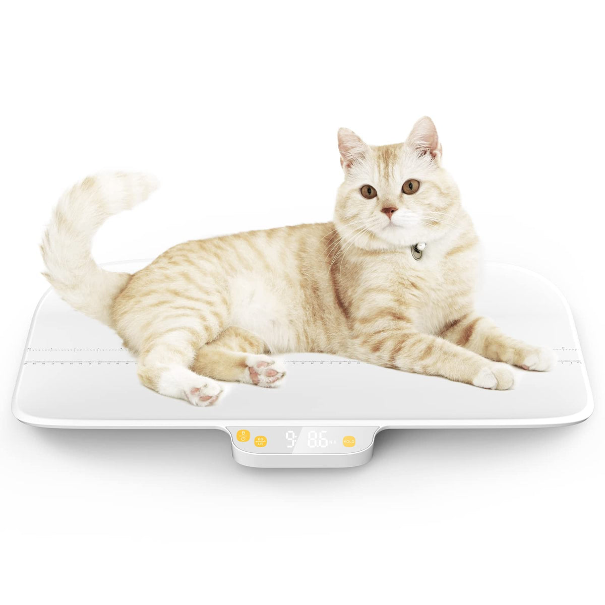 MINDPET-MED digital pet scale front view with clear LED display for easy readings
